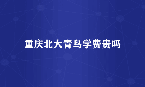 重庆北大青鸟学费贵吗