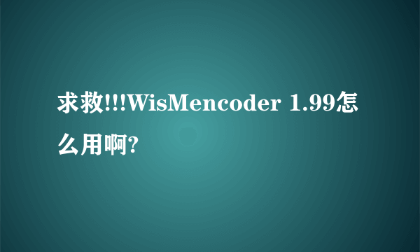 求救!!!WisMencoder 1.99怎么用啊?