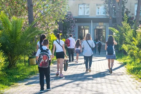 如何翻译英文文章