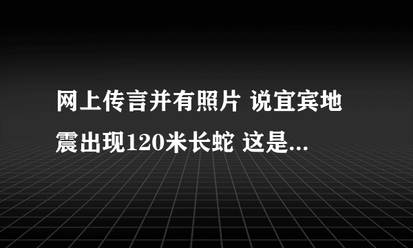 网上传言并有照片 说宜宾地震出现120米长蛇 这是真的吗?