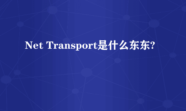 Net Transport是什么东东?