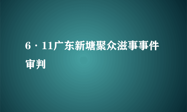 6·11广东新塘聚众滋事事件审判