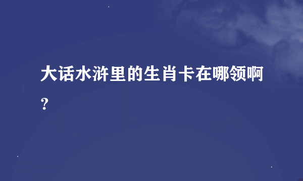 大话水浒里的生肖卡在哪领啊?
