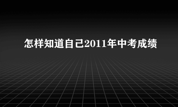 怎样知道自己2011年中考成绩