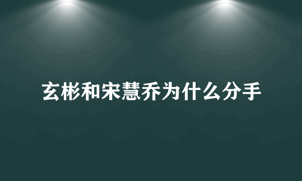 玄彬和宋慧乔为什么分手