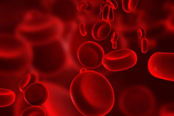 13处一14处tee出血