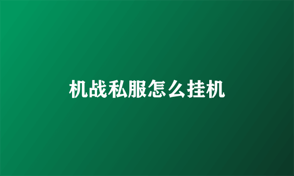 机战私服怎么挂机