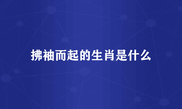 拂袖而起的生肖是什么