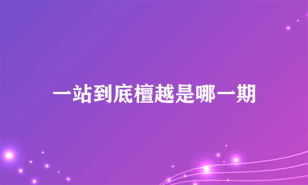 一站到底檀越是哪一期