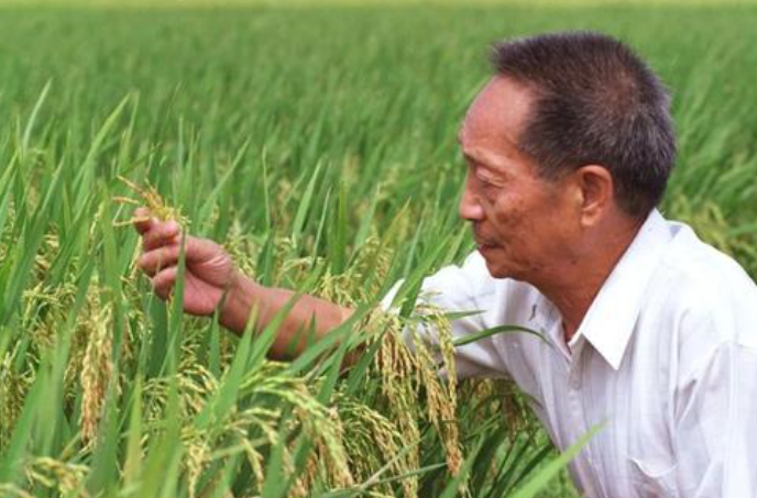 市民深夜排长队悼念袁老，袁老有什么突出的贡献？