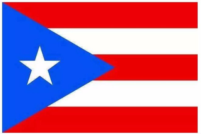 pur代表那个国家的国旗