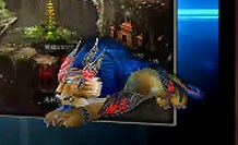 梦三国狂战狮王怎么获得？