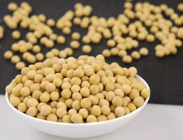 武汉采购360吨黄豆来抗洪，抗灾为啥要用黄豆？