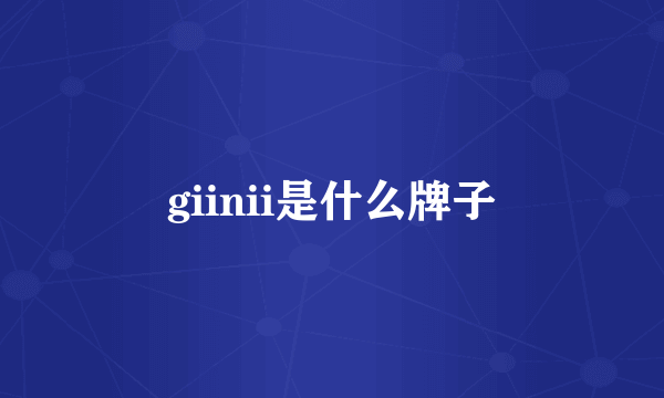 giinii是什么牌子