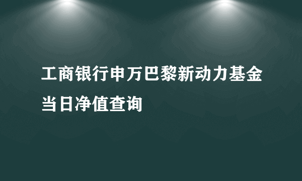 工商银行申万巴黎新动力基金当日净值查询