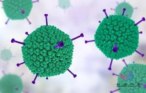 四川什邡市21名儿童检出腺病毒阳性，怎么做不被腺病毒“盯上”？