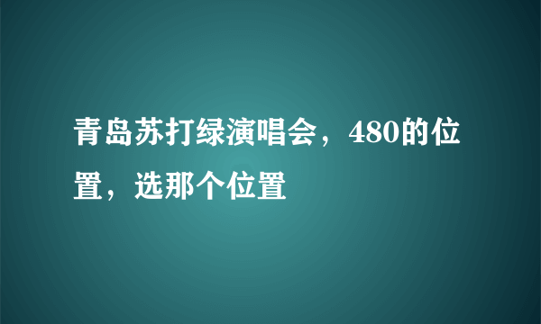 青岛苏打绿演唱会，480的位置，选那个位置