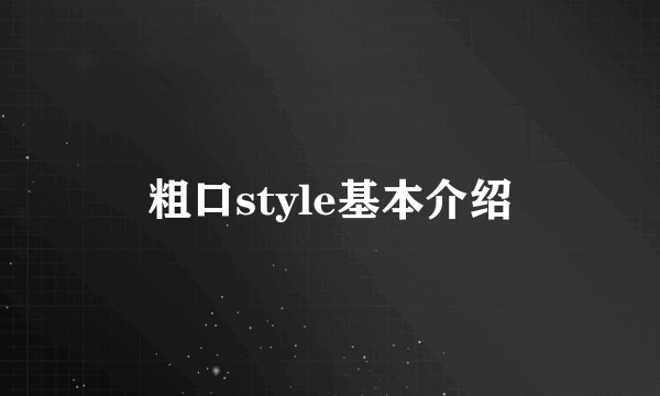 粗口style基本介绍