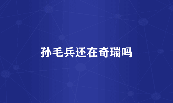 孙毛兵还在奇瑞吗