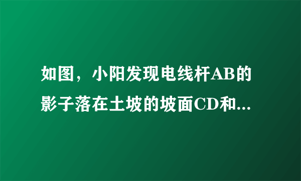 如图，小阳发现电线杆AB的影子落在土坡的坡面CD和地面BC上．量得CD=8米，BC=20米，CD与地面成30°角，且