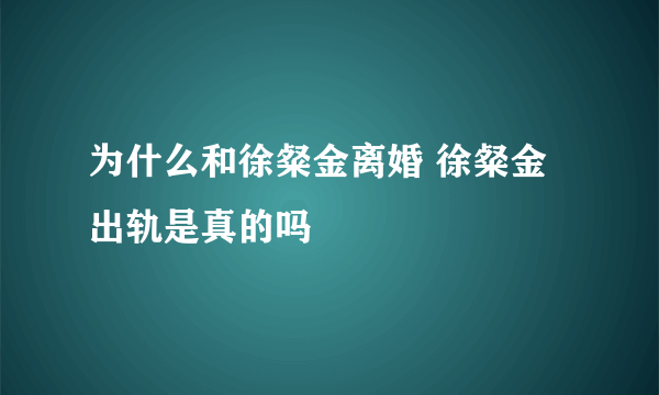 为什么和徐粲金离婚 徐粲金出轨是真的吗