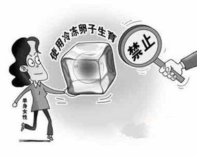 生育政策日渐宽松，单身生育会被更多人接受吗？你怎么看？