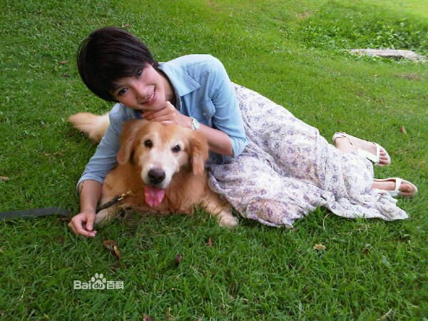 求泰剧，爱在旅途中文配音版的百度云