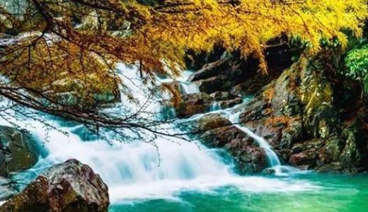 独揽梅花扫腊雪的下联是什么？