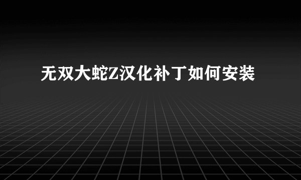 无双大蛇Z汉化补丁如何安装
