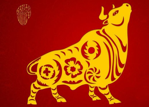 牛气冲天下一句咋接？