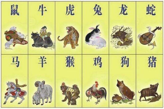 丹青妙手打一个生肖