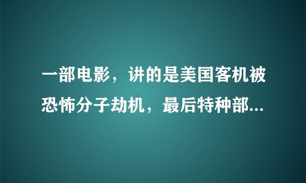 一部电影，讲的是美国客机被恐怖分子劫机，最后特种部队在空中直接潜入到客机内部击败了恐怖分子，求电影