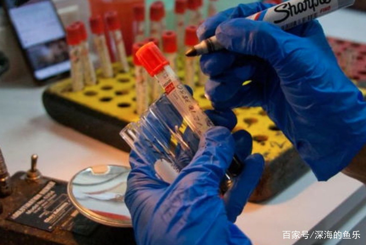 四川一名1岁孩子确诊新冠,这个孩子是如何被感染的?