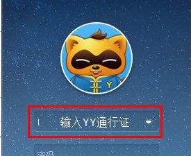 怎么才能在网页上登录yy呢？