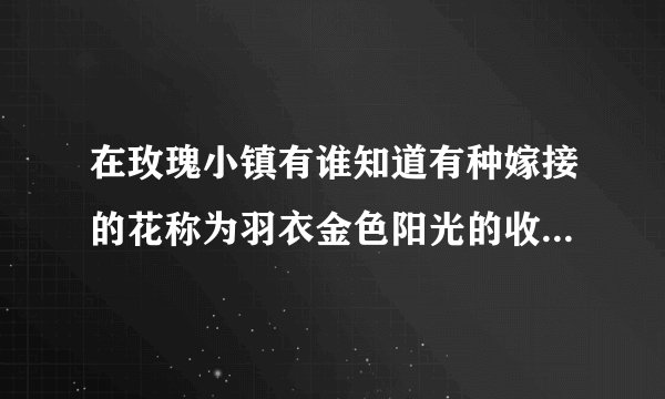 在玫瑰小镇有谁知道有种嫁接的花称为羽衣金色阳光的收获采摘时收取几朵花？