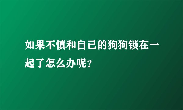 如果不慎和自己的狗狗锁在一起了怎么办呢？