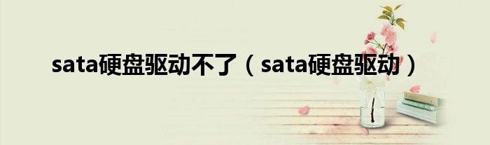 sata硬盘驱动不了sata硬盘驱动