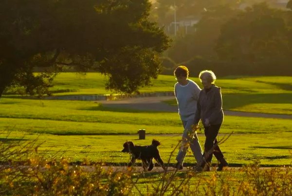 母慈子孝尽享天伦之乐