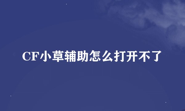 CF小草辅助怎么打开不了