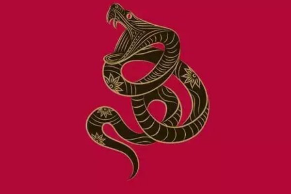 和衣而睡fb容什么生肖