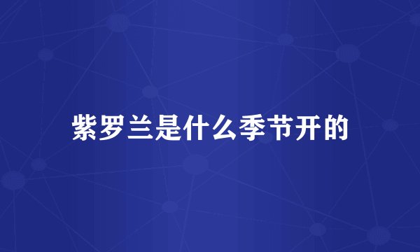 紫罗兰是什么季节开的
