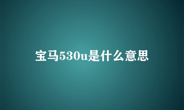 宝马530u是什么意思