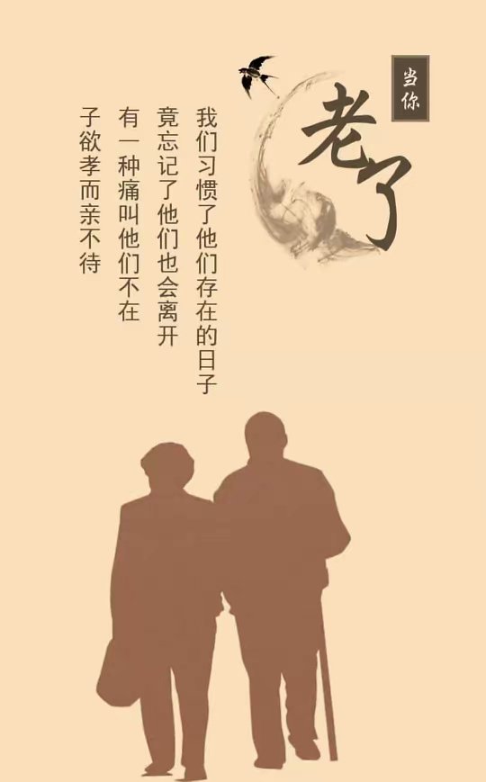 “树欲静而风不止，子欲孝而亲不待”什么意思？