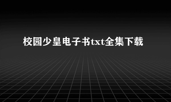 校园少皇电子书txt全集下载