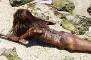 黑鳞鲛人真的存在吗 活着的样子真恐怖超吓人