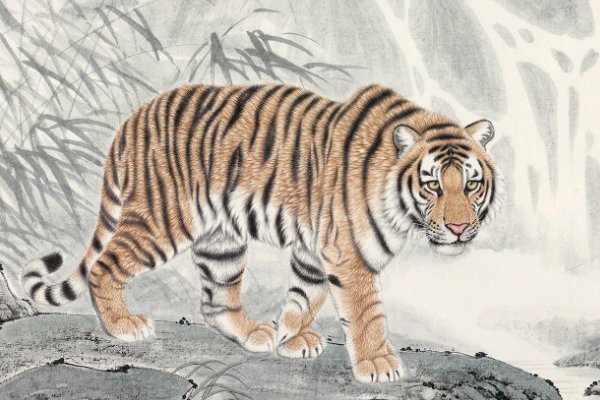 出生壳体虽轻一生肖