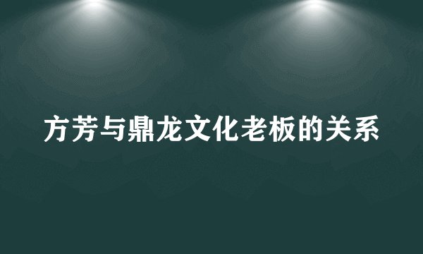 方芳与鼎龙文化老板的关系