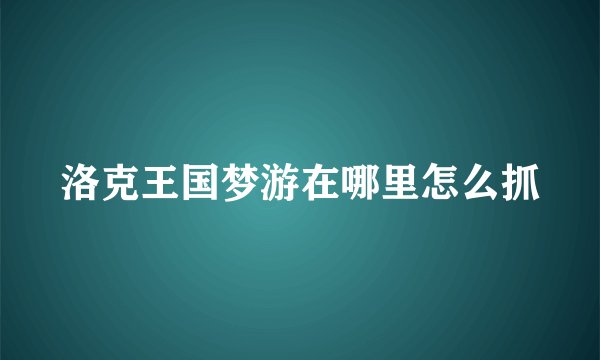 洛克王国梦游在哪里怎么抓