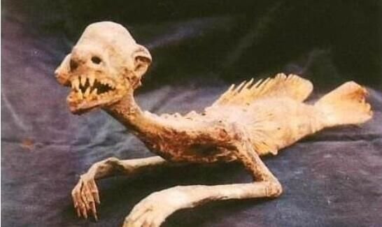 黑鳞鲛人真的存在吗 活着的样子真恐怖超吓人