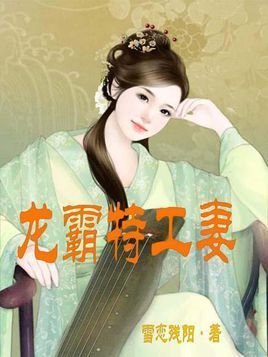龙霸特工妻的小说目录